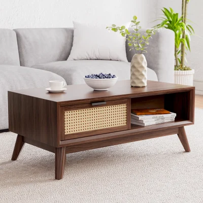 Ailia Meja Tamu Retro Rotan Minimalis Modern