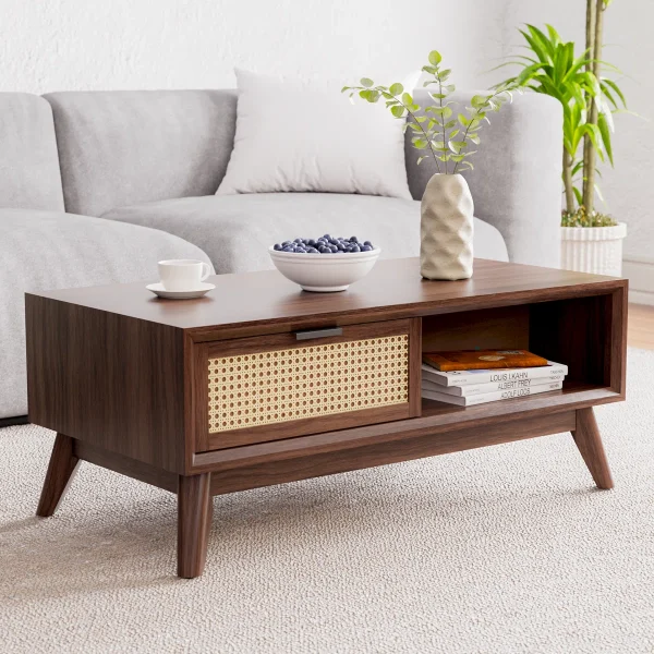 Ailia Meja Tamu Retro Rotan Minimalis Modern