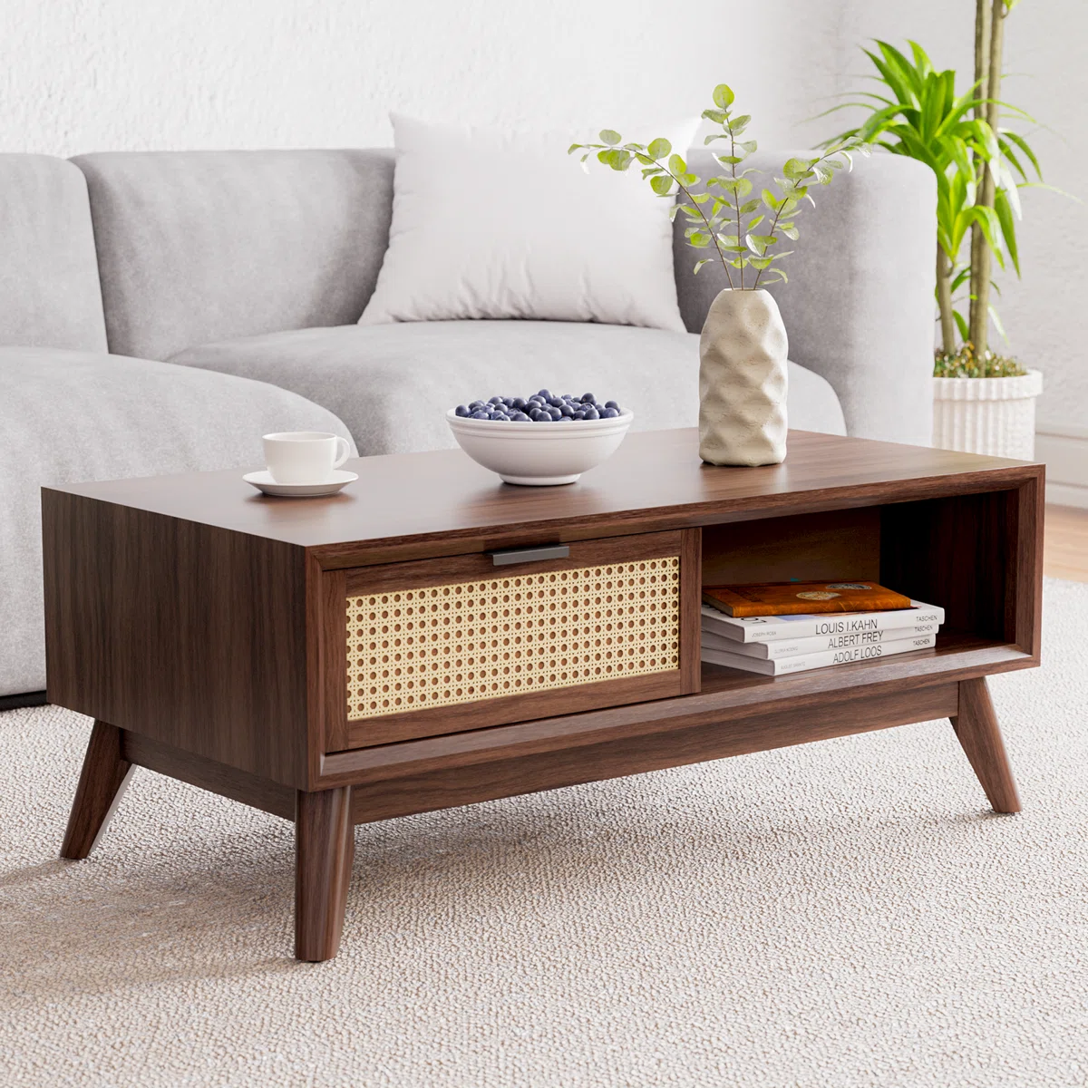 Ailia Meja Tamu Retro Rotan Minimalis Modern